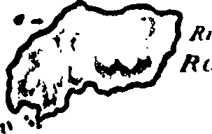 118/118370020002500_2.png