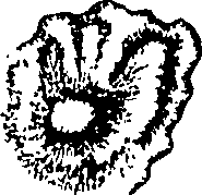 118/118370020004200_1.png