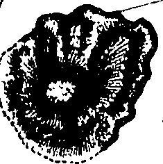 118/118370020004210_3.png