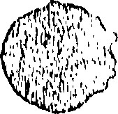 118/118370020004220_0.png