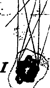 118/118370020004220_4.png