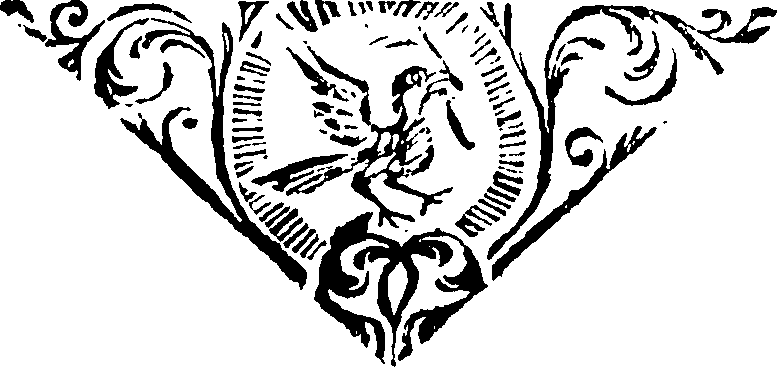 118/118390020002440_0.png
