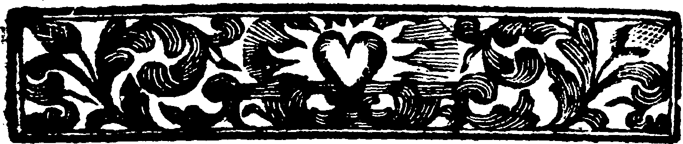118/118390020003610_2.png