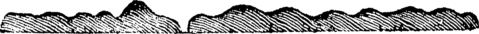 118/118460040000610_1.png