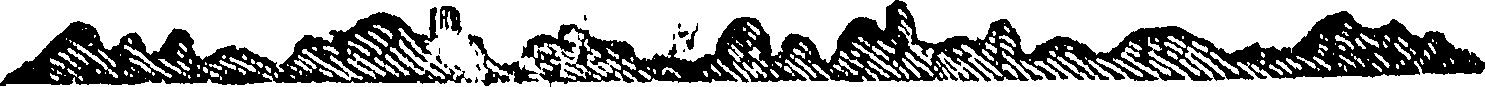 118/118460040000610_3.png