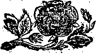 118/118550020003890_0.png
