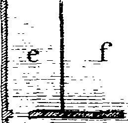118/118650020000570_2.png