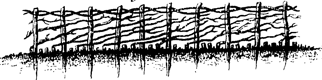 118/118650020001110_0.png