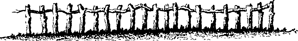 118/118650020001110_1.png