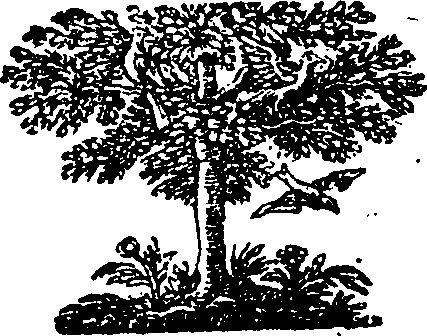 118/118680080000350_0.png
