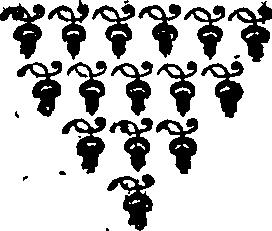 118/118680120002240_0.png