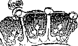 118/118810010100030_1.png