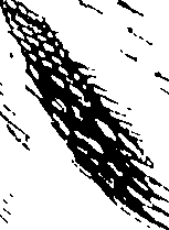 118/118810010101730_0.png