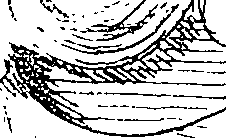 118/118810010101730_1.png