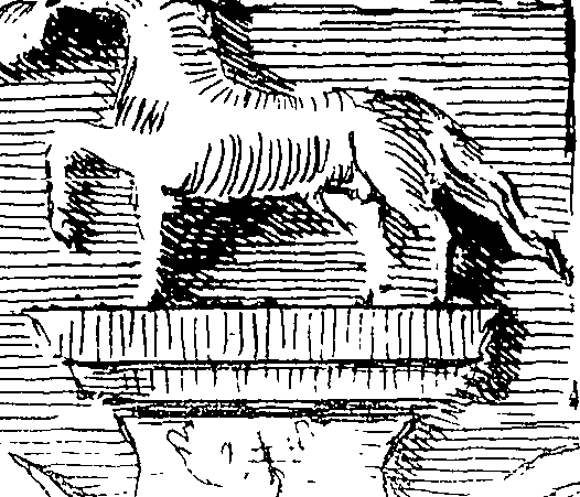 118/118810010101730_2.png