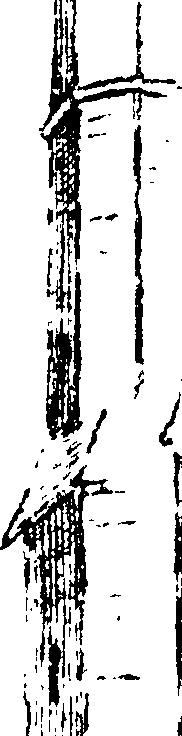 118/118810010102170_1.png