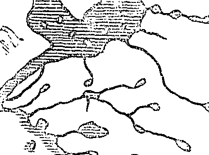 118/118850020000010_1.png