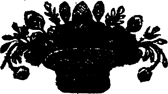 118/118850020000220_0.png