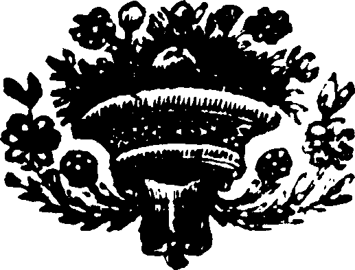 118/118850020002740_0.png