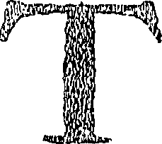 118/118850020003200_0.png