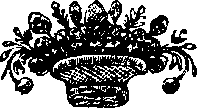 118/118850020004300_0.png