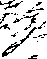 118/118870020000010_1.png