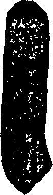 118/118880020000470_0.png