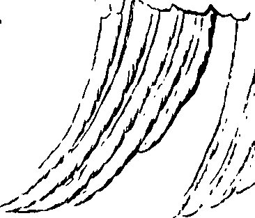 118/118890030000230_1.png