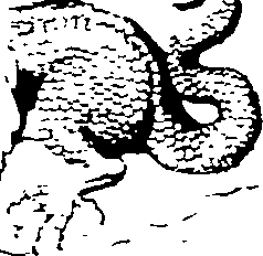 118/118890030000260_0.png