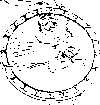 118/118890030000420_0.png
