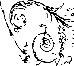 118/118890030000420_1.png