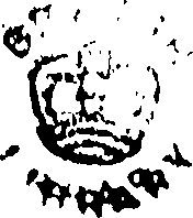 118/118920210000040_0.png