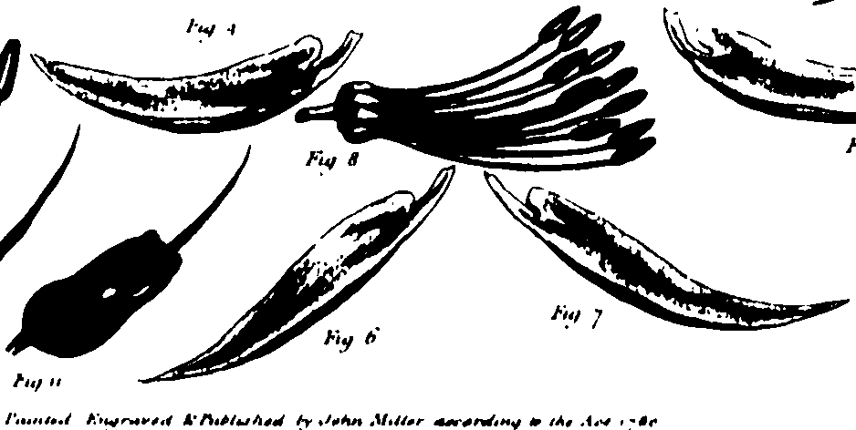 118/118990050000030_0.png