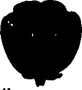 118/118990050000050_0.png