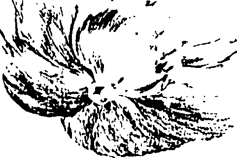 118/118990050000050_1.png