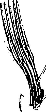 118/118990050000070_0.png