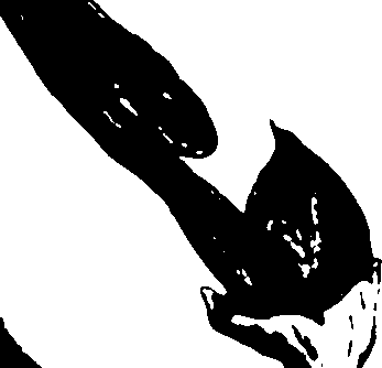 118/118990050000070_1.png