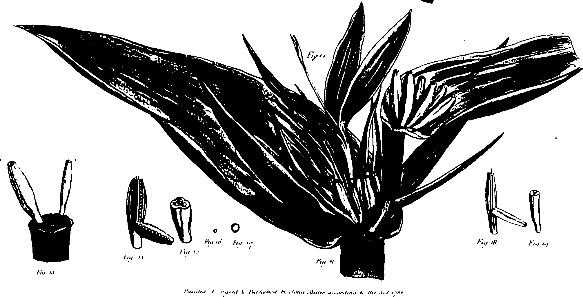 118/118990050000080_0.png
