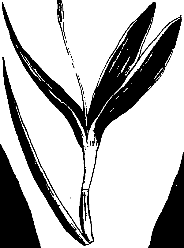118/118990050000080_1.png