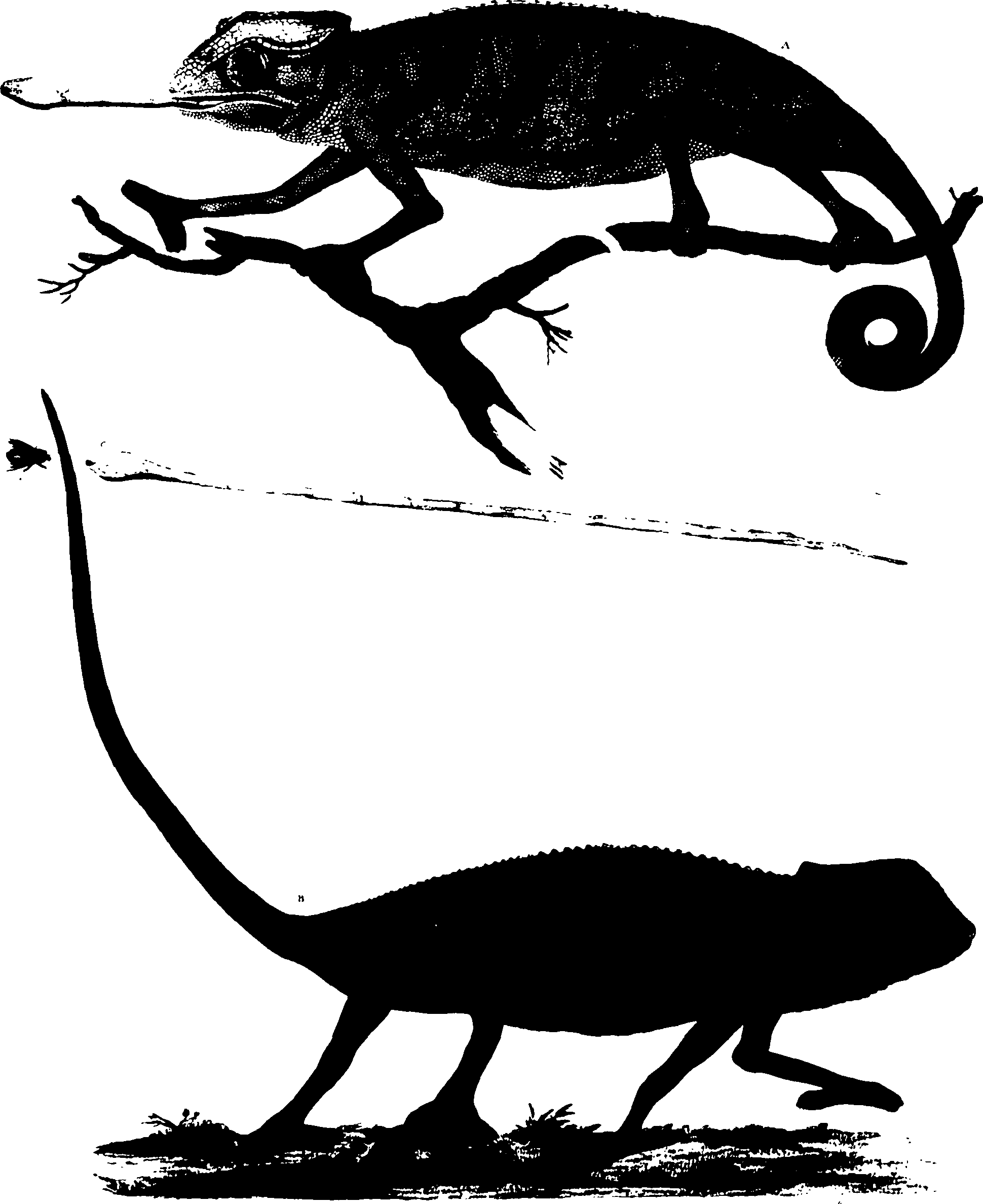 118/118990050000260_0.png