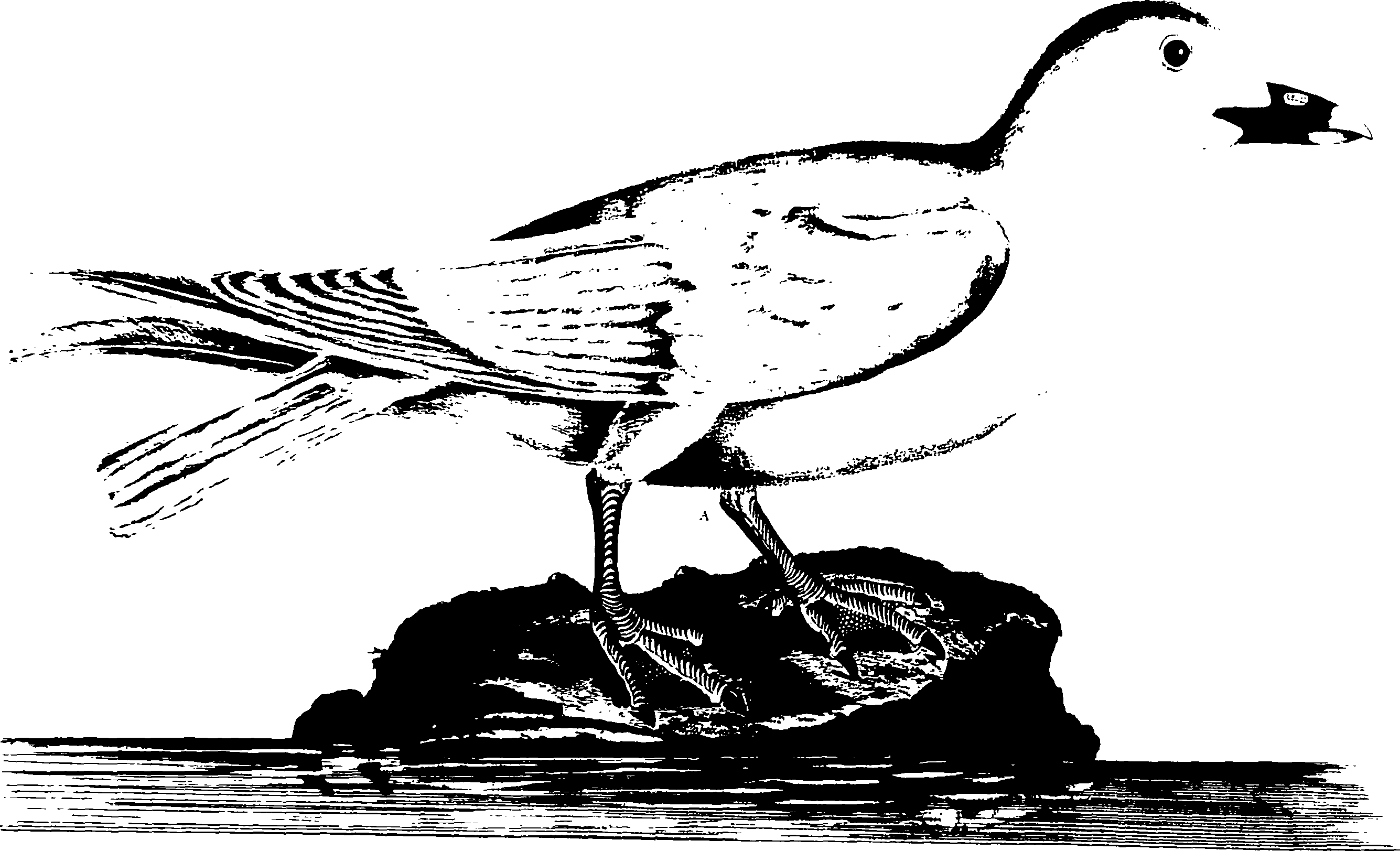 118/118990050000270_0.png