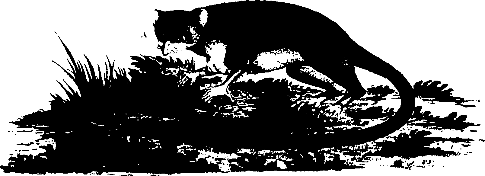 118/118990050000280_0.png