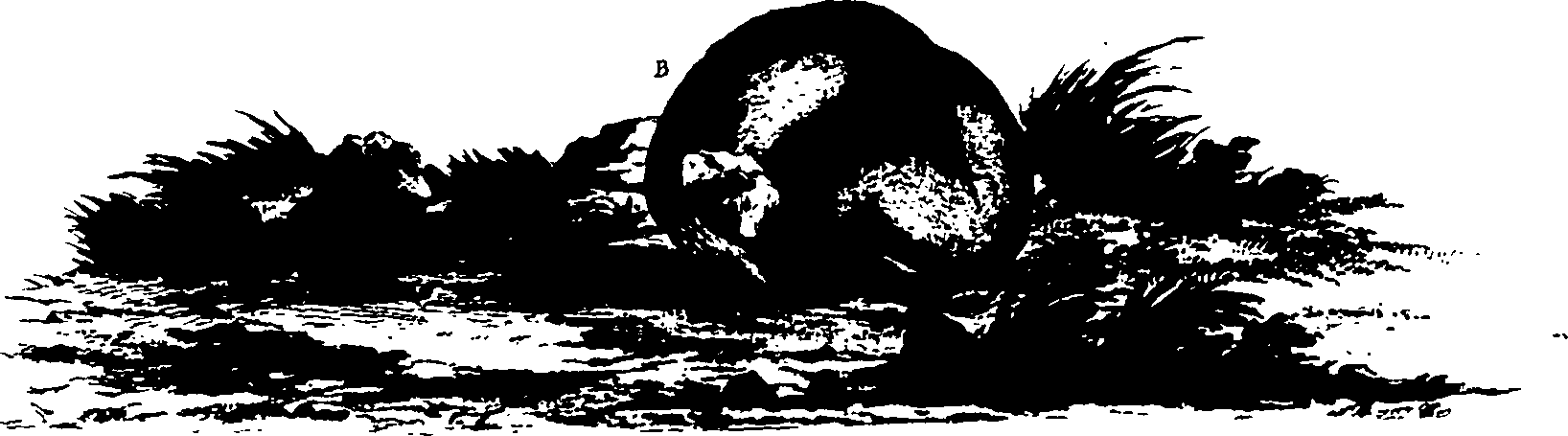 118/118990050000280_1.png