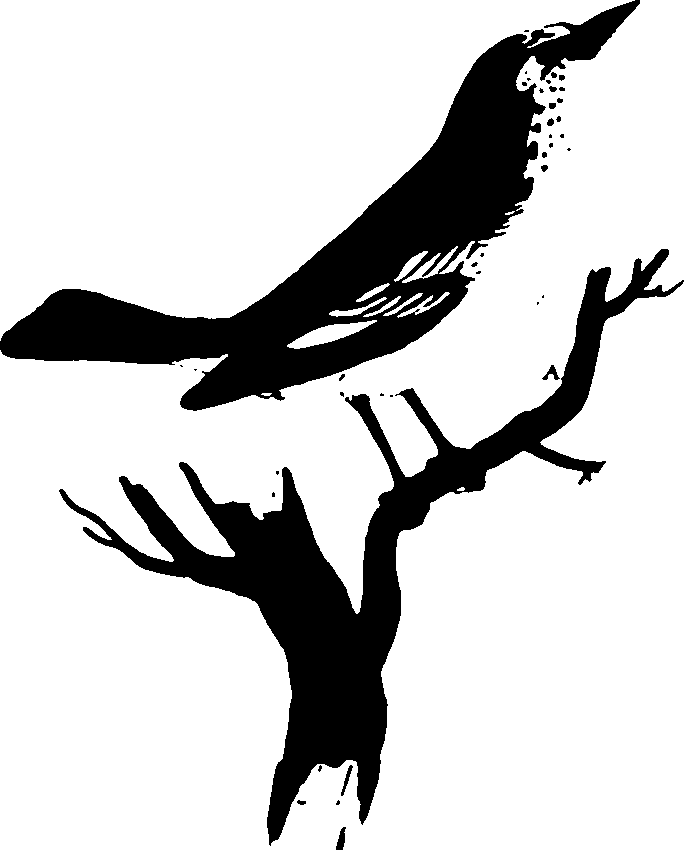118/118990050000300_0.png