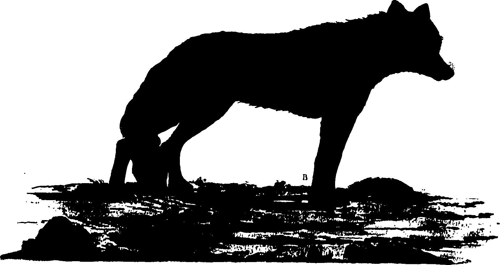 118/118990050000340_0.png
