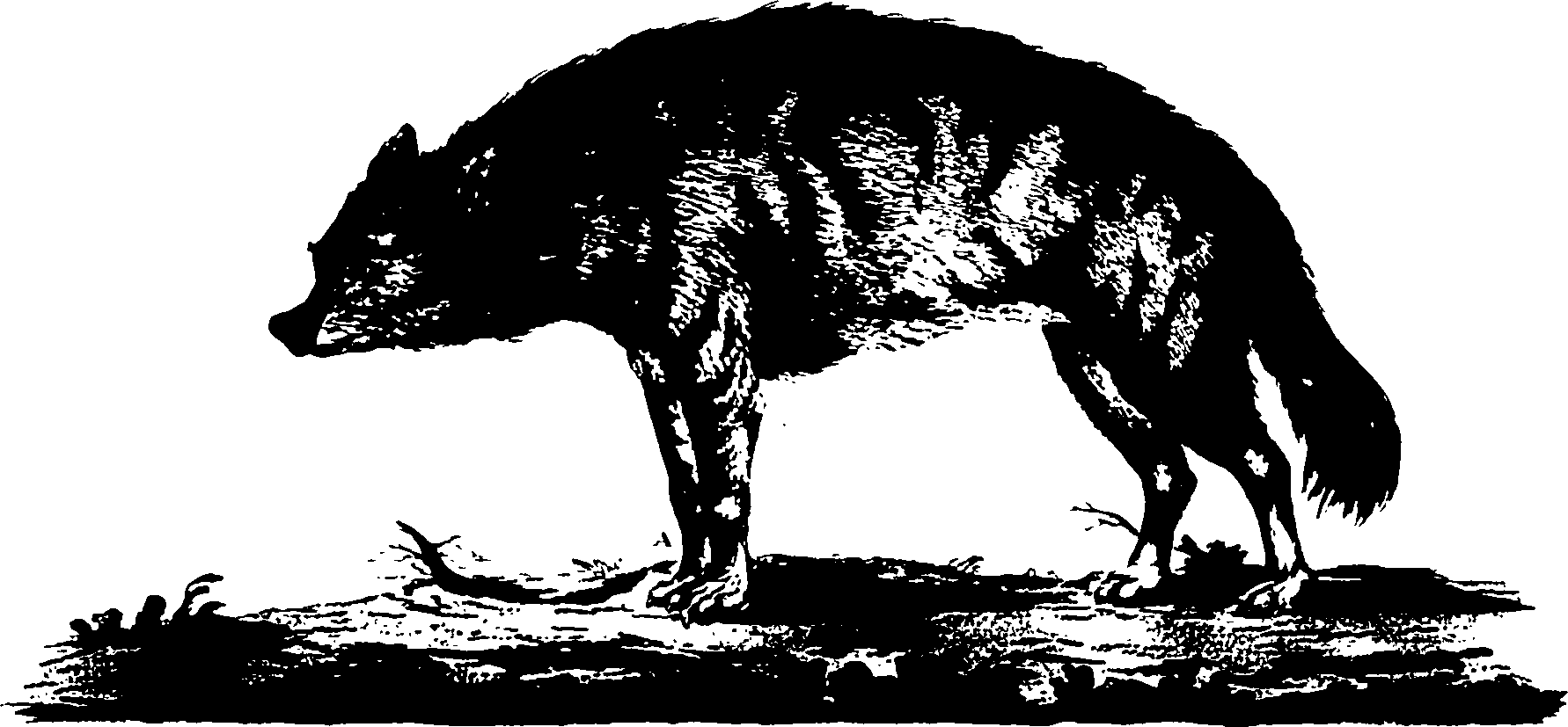 118/118990050000340_1.png