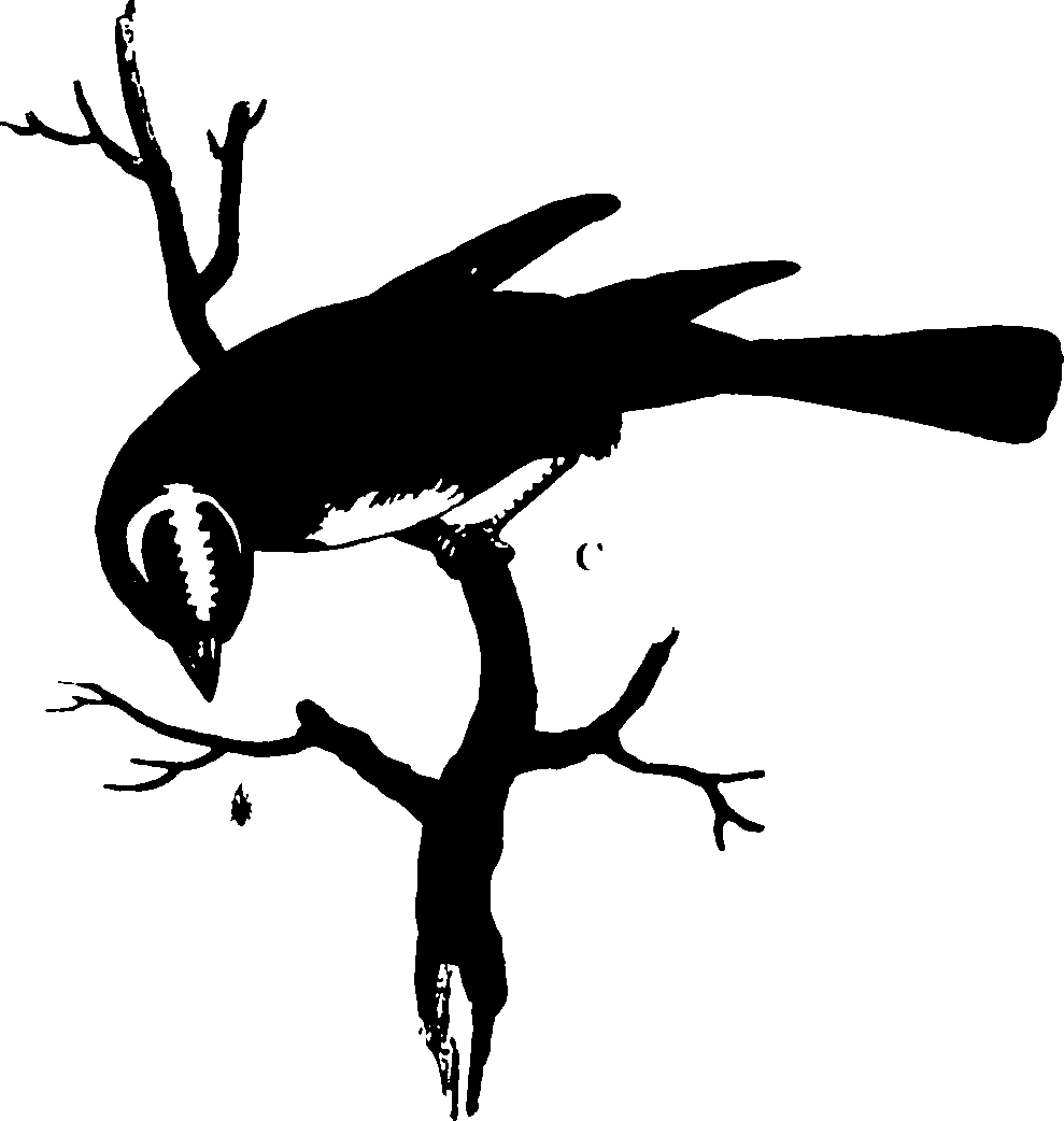 118/118990050000360_0.png