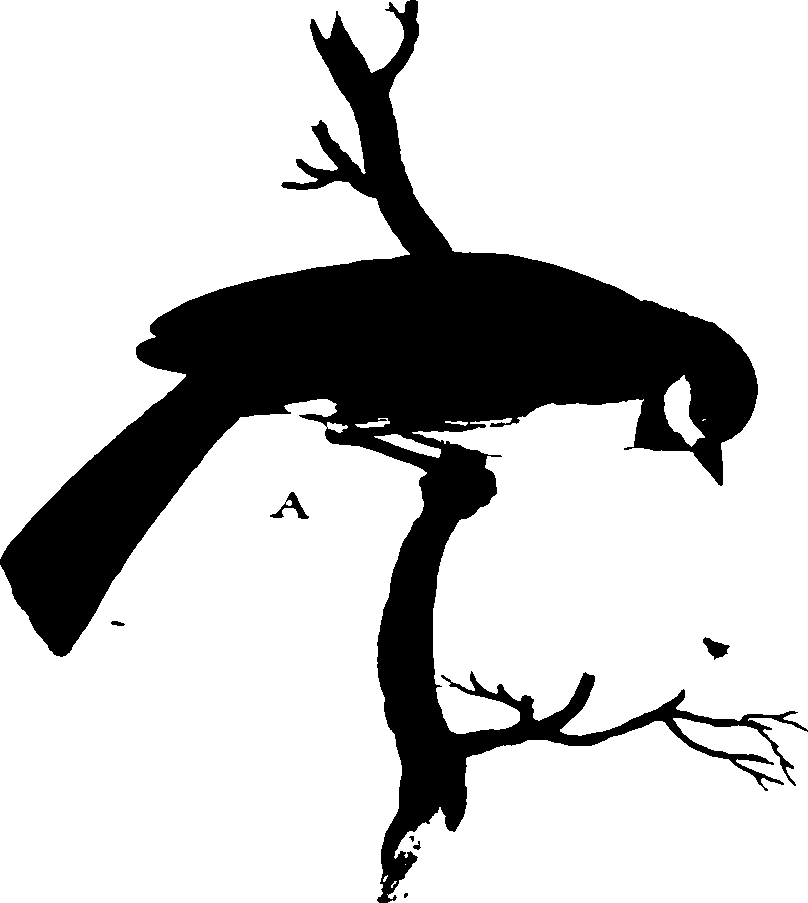 118/118990050000360_1.png