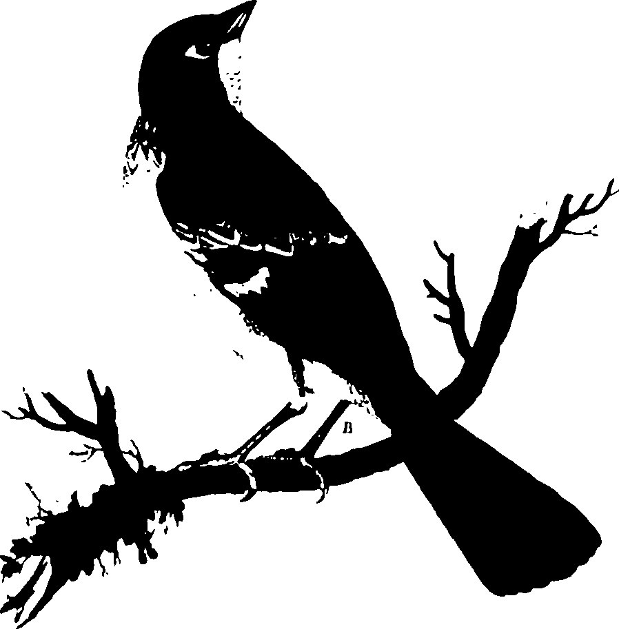 118/118990050000390_0.png