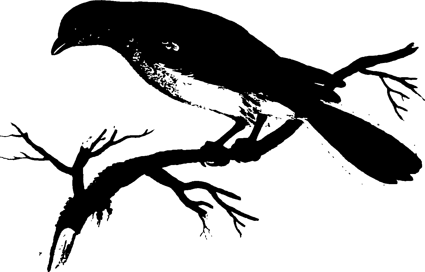 118/118990050000390_1.png